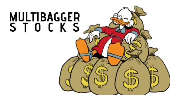 Introduction of Multibaggers